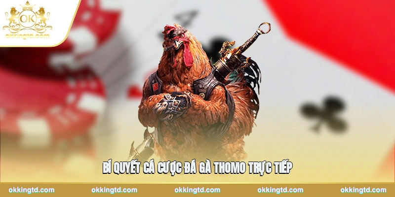 Bí quyết cá cược đá gà Thomo trực tiếp