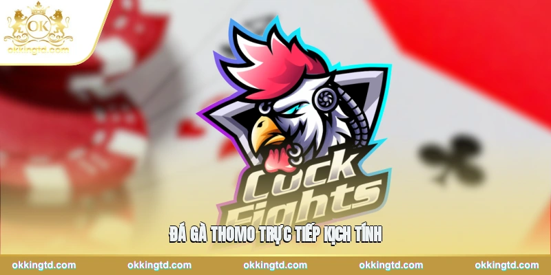 Đá Gà Thomo Trực Tiếp Kịch Tính