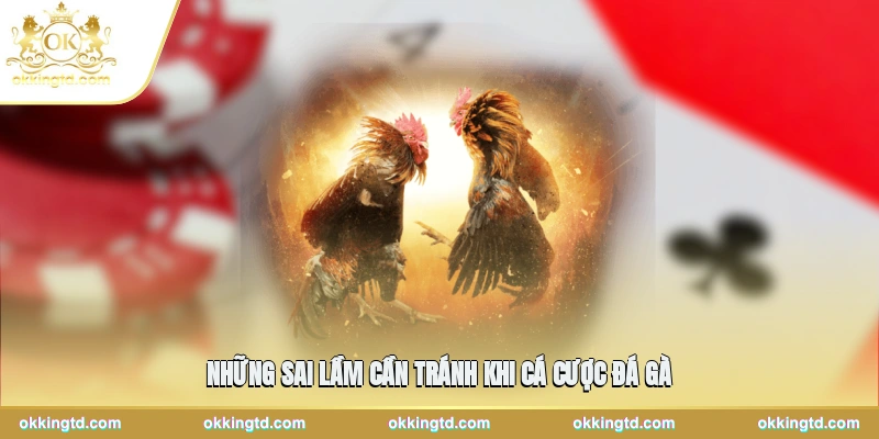 Những sai lầm cần tránh khi cá cược đá gà 